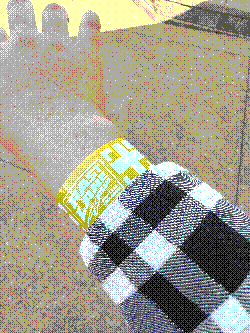 a fast lane plus wristband on my right arm