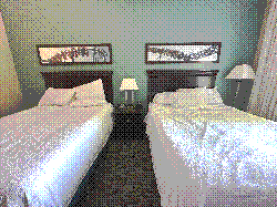 a cedar point hotel with 2 beds. on top, there is a picture of raptor on the left and millennium force on the right
