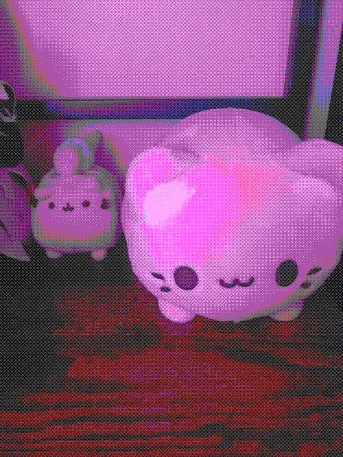 small pusheen and a pink cat plushie